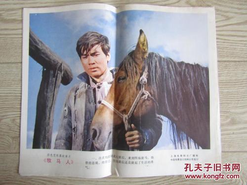 爱尔兰身份证作假